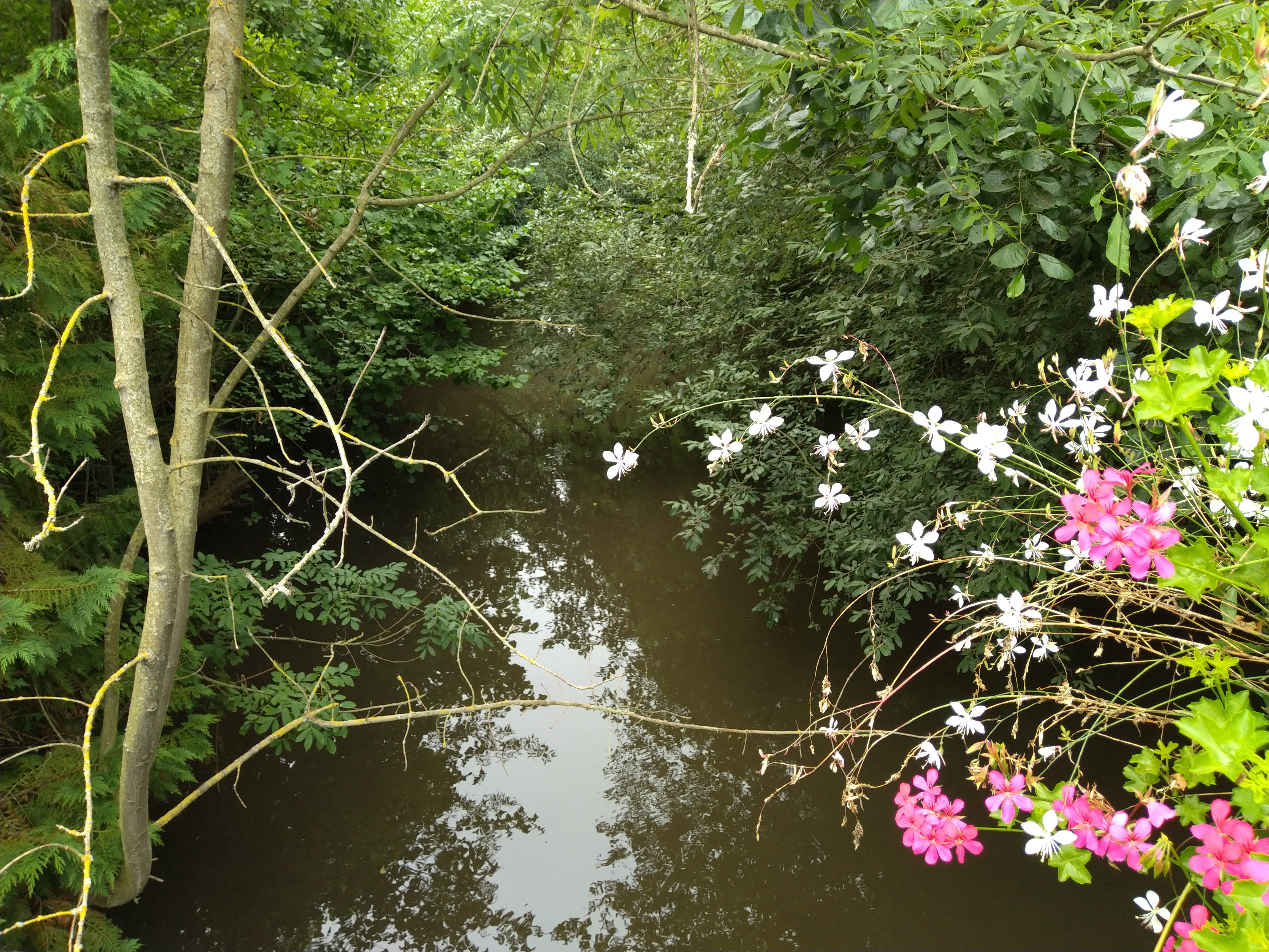 Parcours de pu00eache