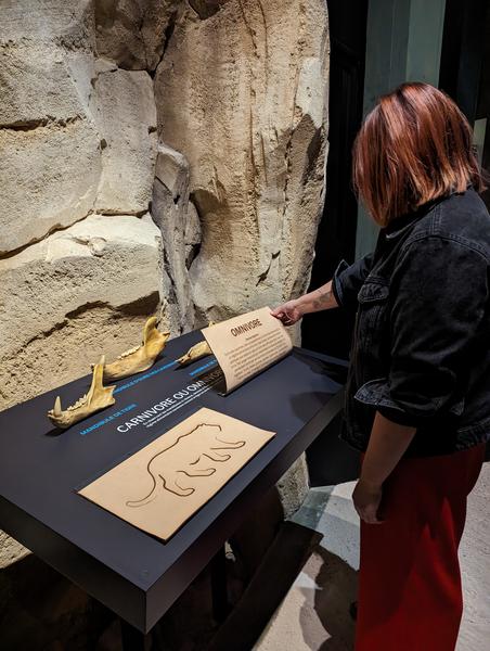 Musée de l'ours des cavernes - Entremont le Vieux