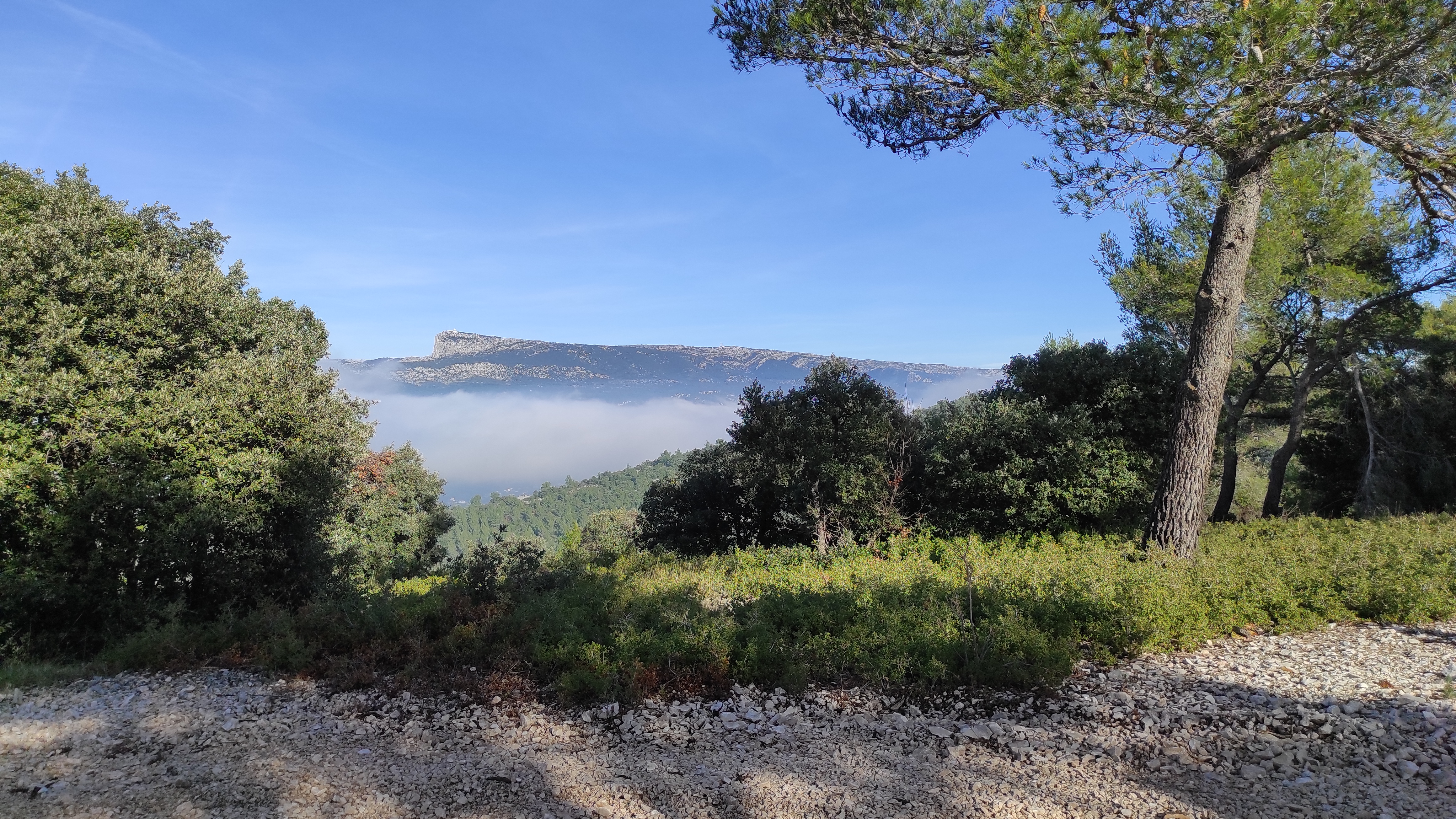 Forêt de Fontblanche, Ceyreste - photo 2