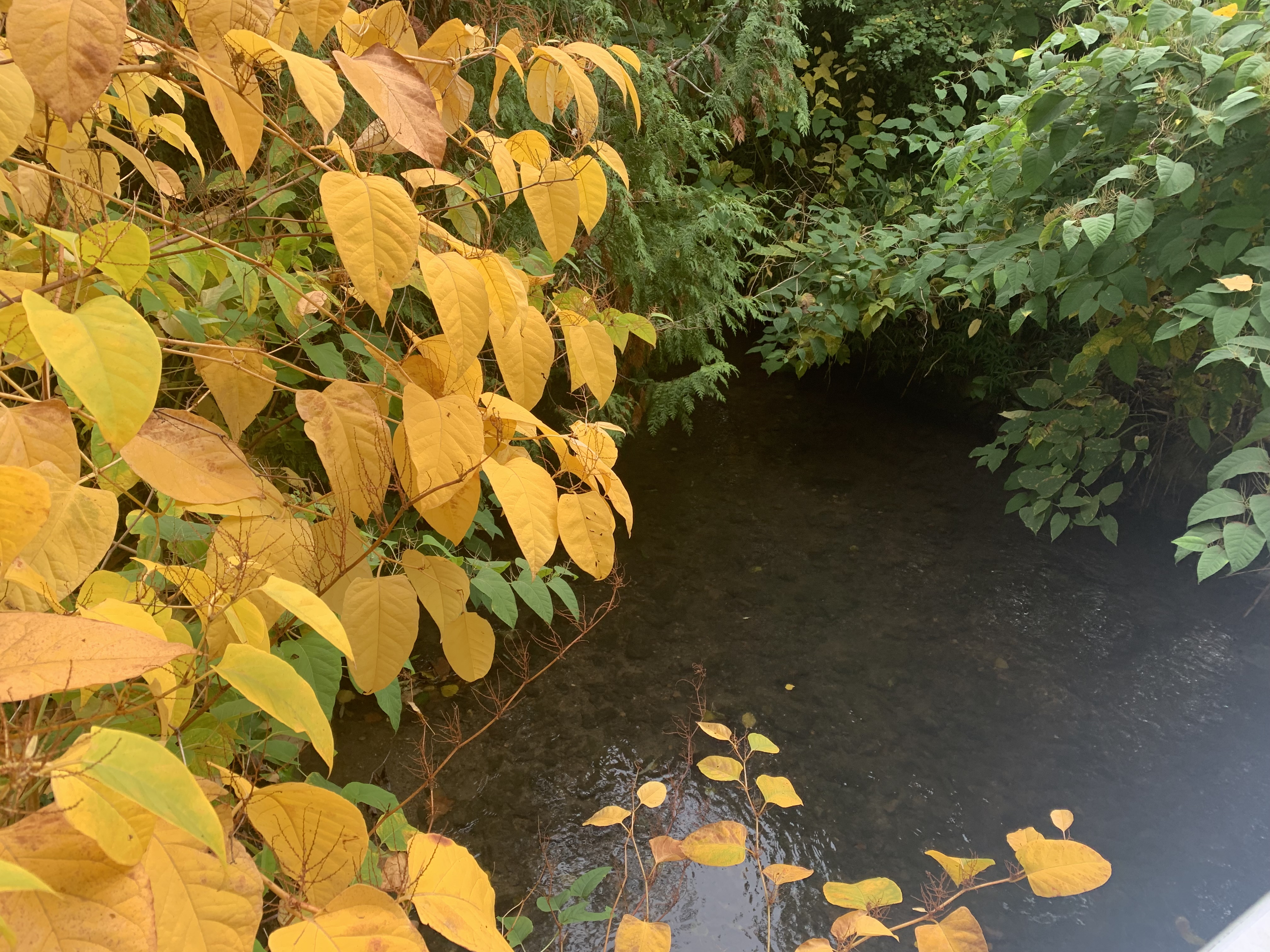 Excursion de rivière en villages