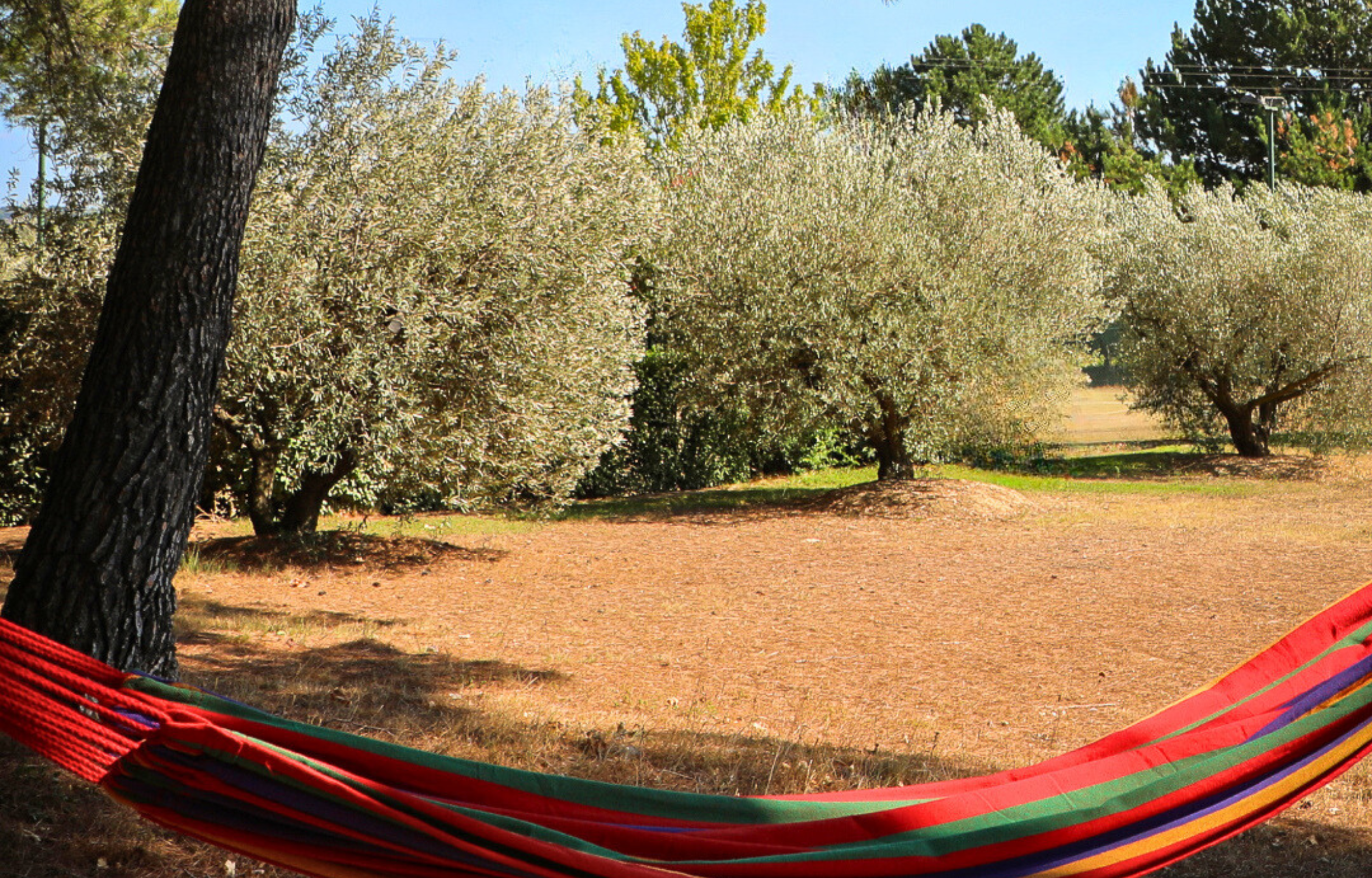À la Source, Aix-en-Provence - photo 7
