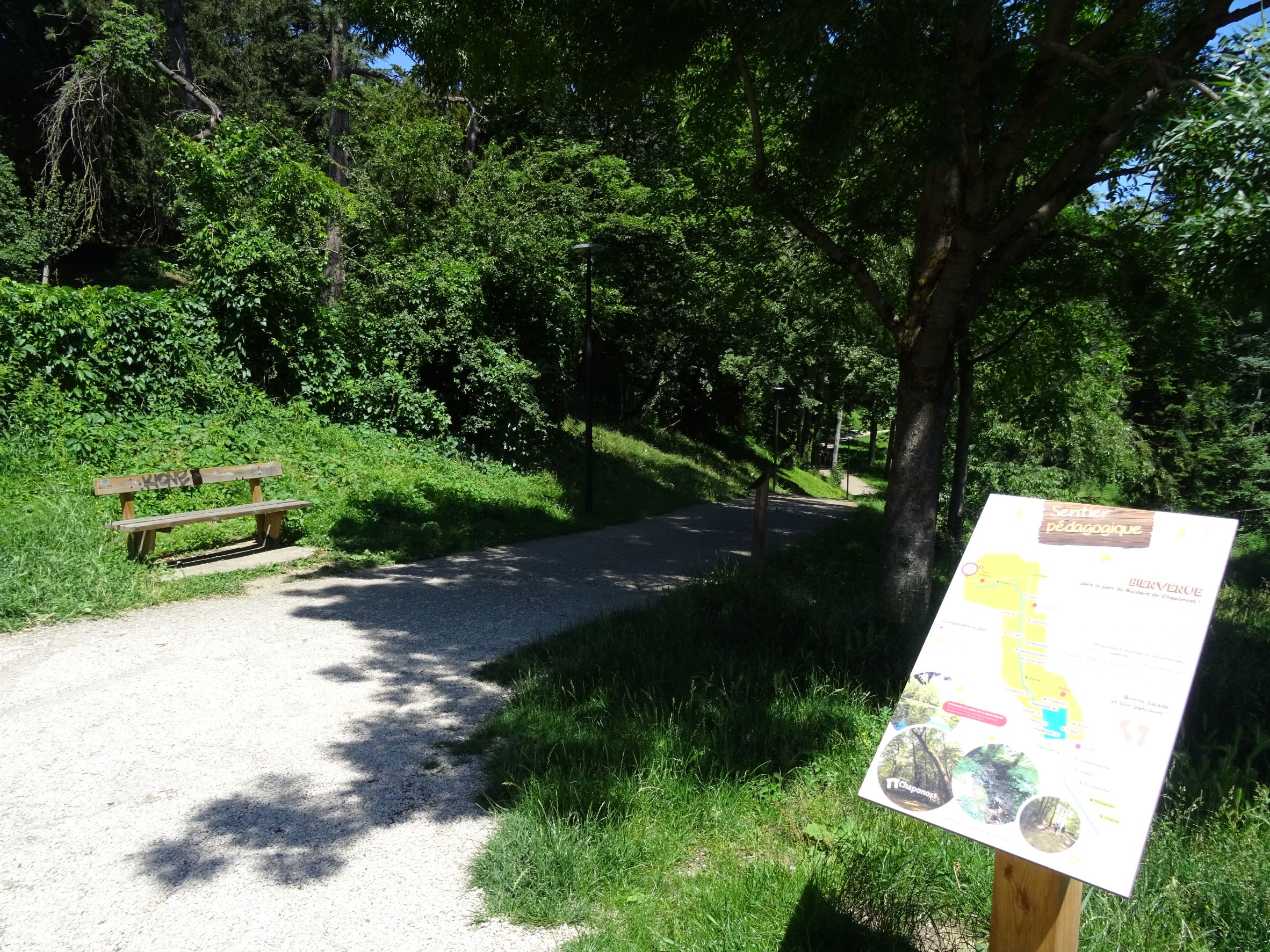 Chemin dans le parc