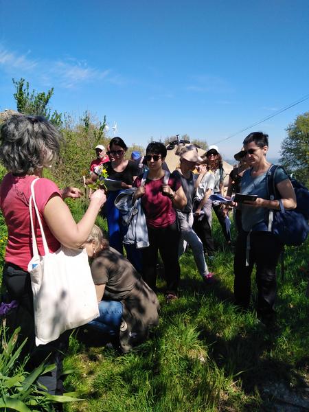 Balade botanique et atelier avec La magie des plantes_Tournon-sur-Rhône