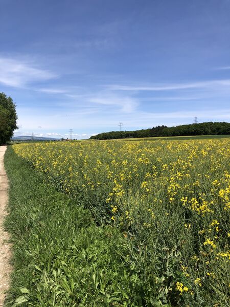 Quand c'est agréable...