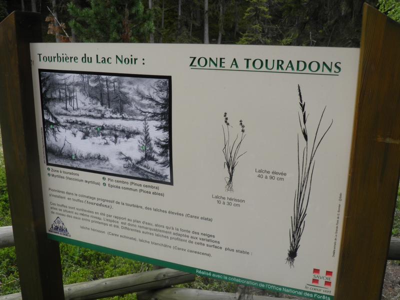 Tourbière du Lac Noir