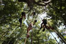Printemps 2025 - Bougez dans le Pilat - Grimpe d'arbres (à partir de 10 ans) - Collet de Doizieux_Doizieux