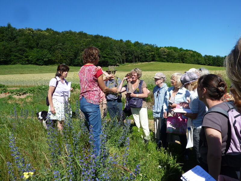 Marie Claire Buffiere