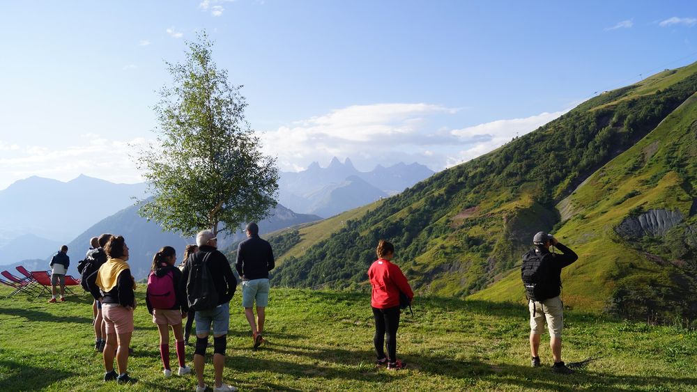 Sortie chamois avec Bureau Montagne
