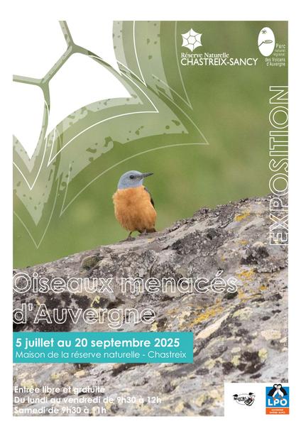 Exposition : les oiseaux menacés d'Auvergne