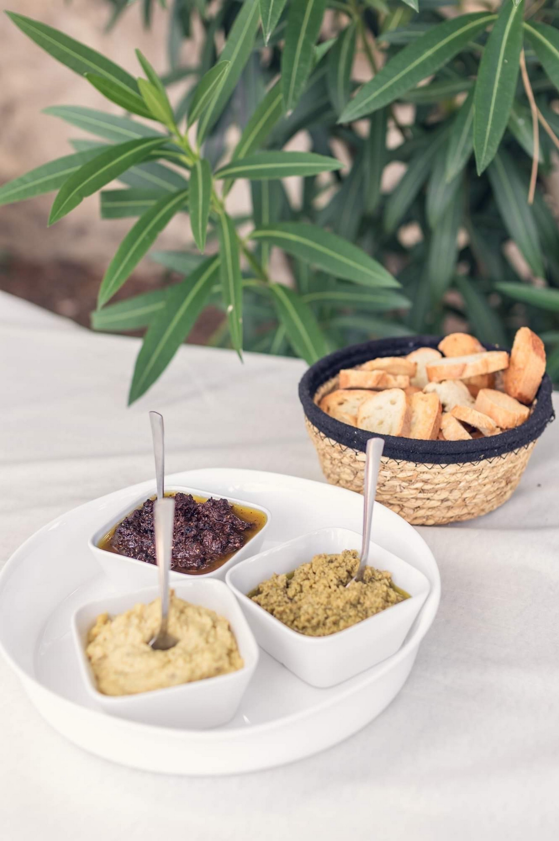 La Cour des 2 Pins - photo 5