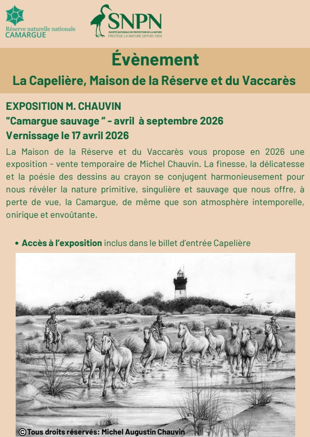 Exposition « Camargue sauvage »