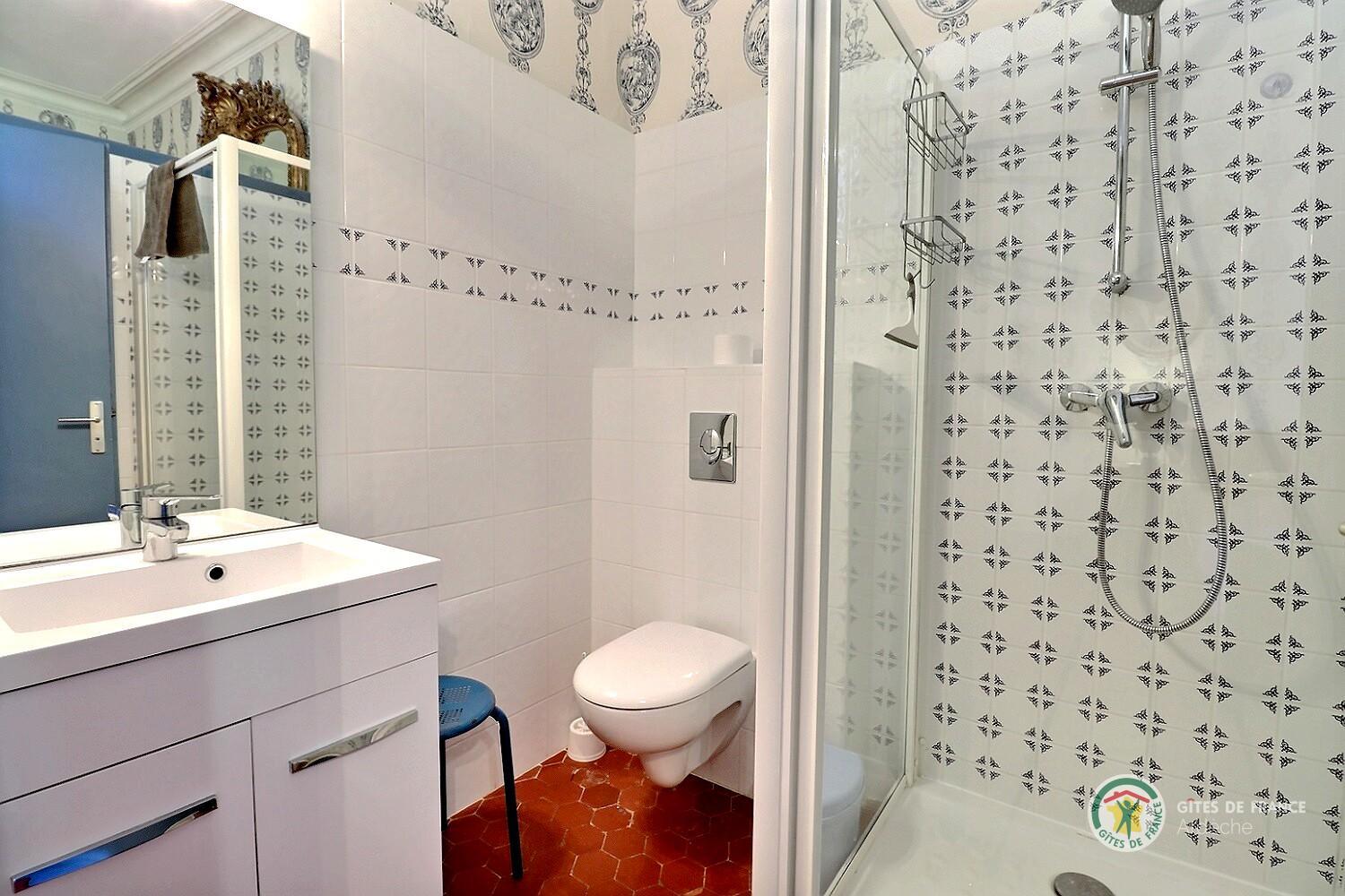 Salle d'eau de la chambre bleue avec douche, vasque et toilette
