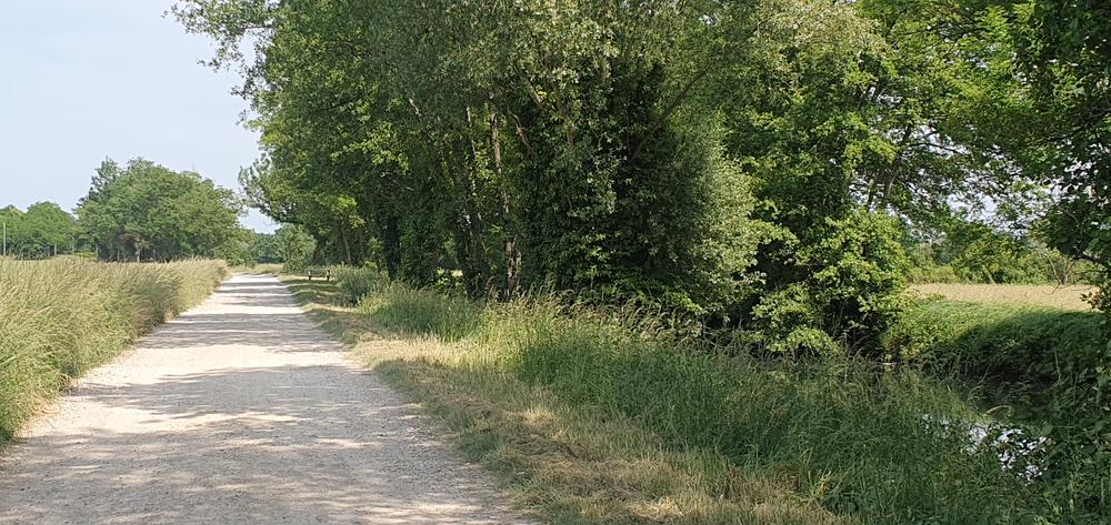 Balade - Marais de Molière et de Vial_Polliat