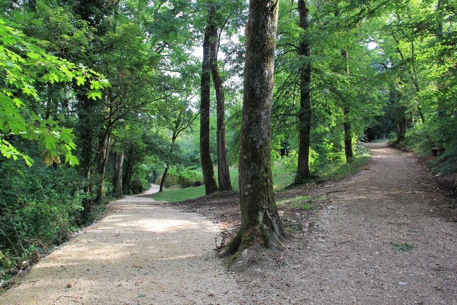 Cheminements Bois Vidal