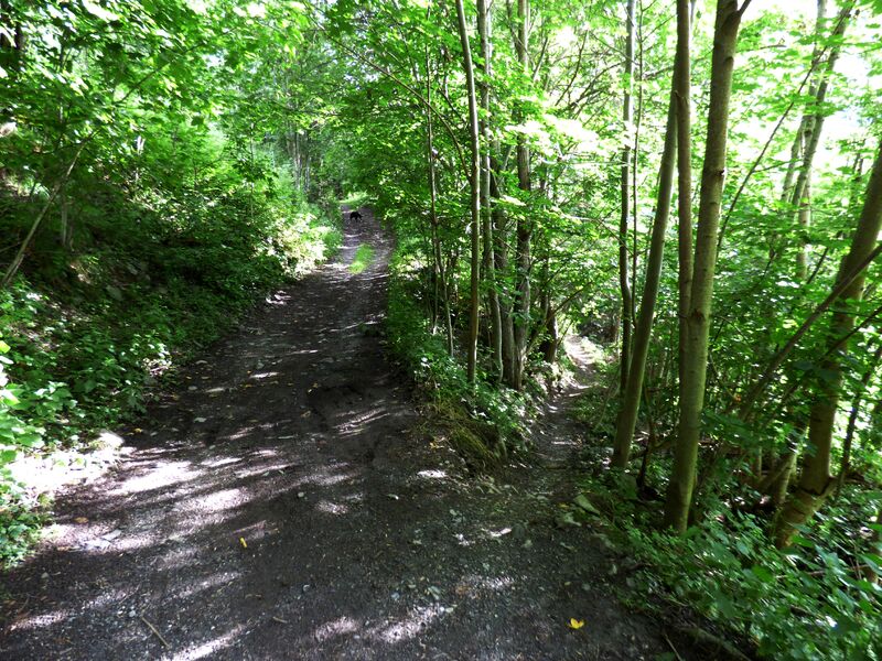 Tour du bois de l'église de Peisey