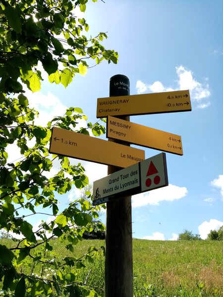 Balade en Vallons Messimy