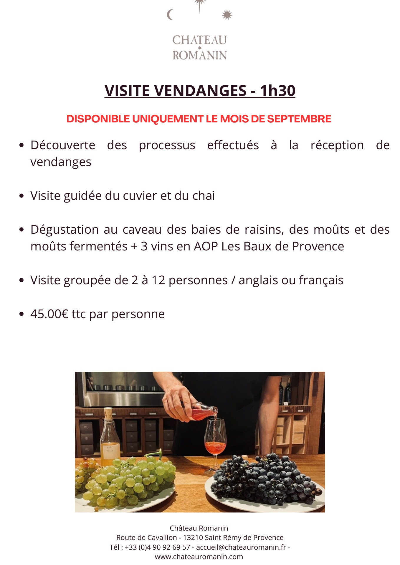 Visite Vendanges au Château Romanin