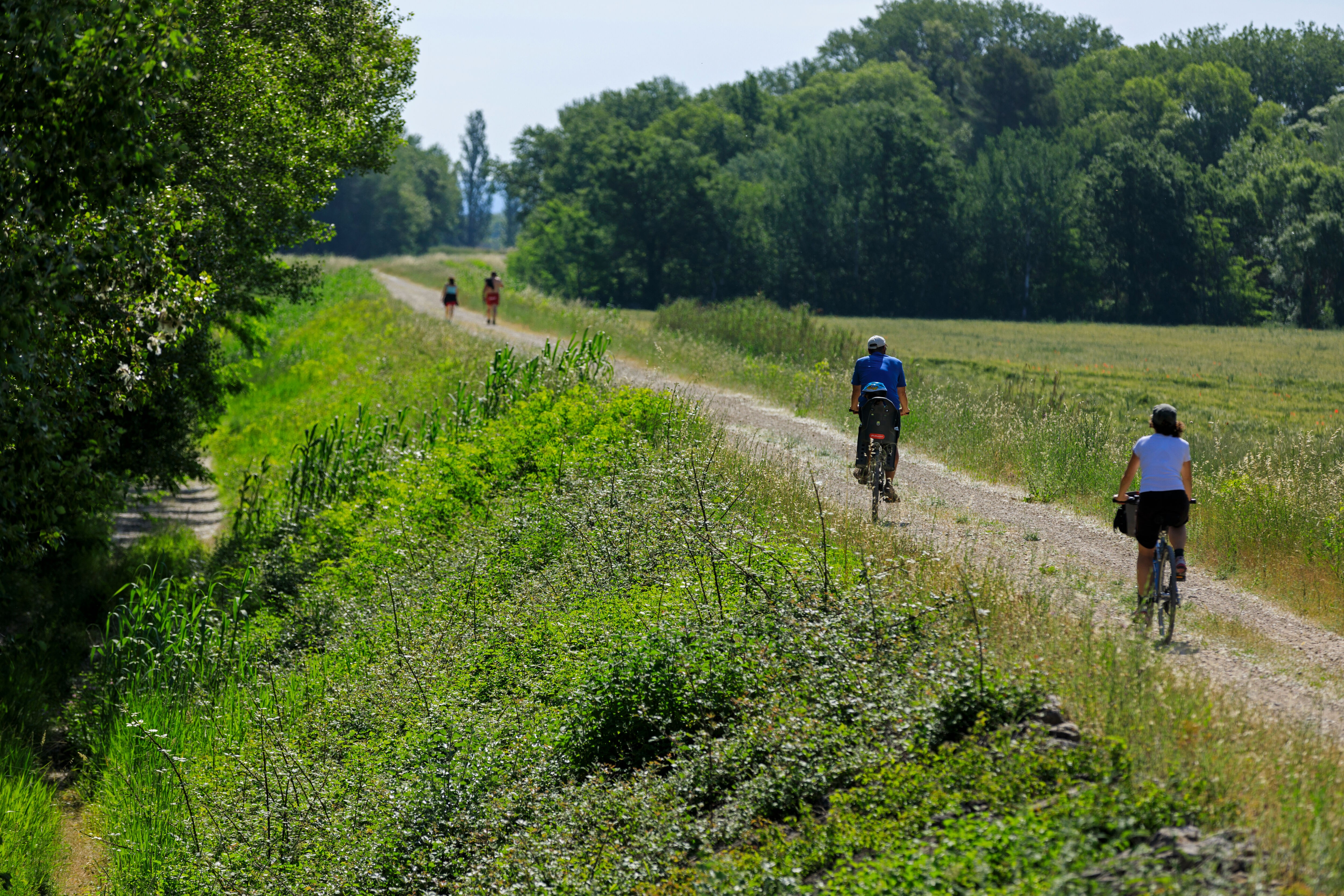 Véloroute Vers la Durance à vélo : Tronçon Mallemort - La Roque d'Anthéron , Mallemort - photo 3
