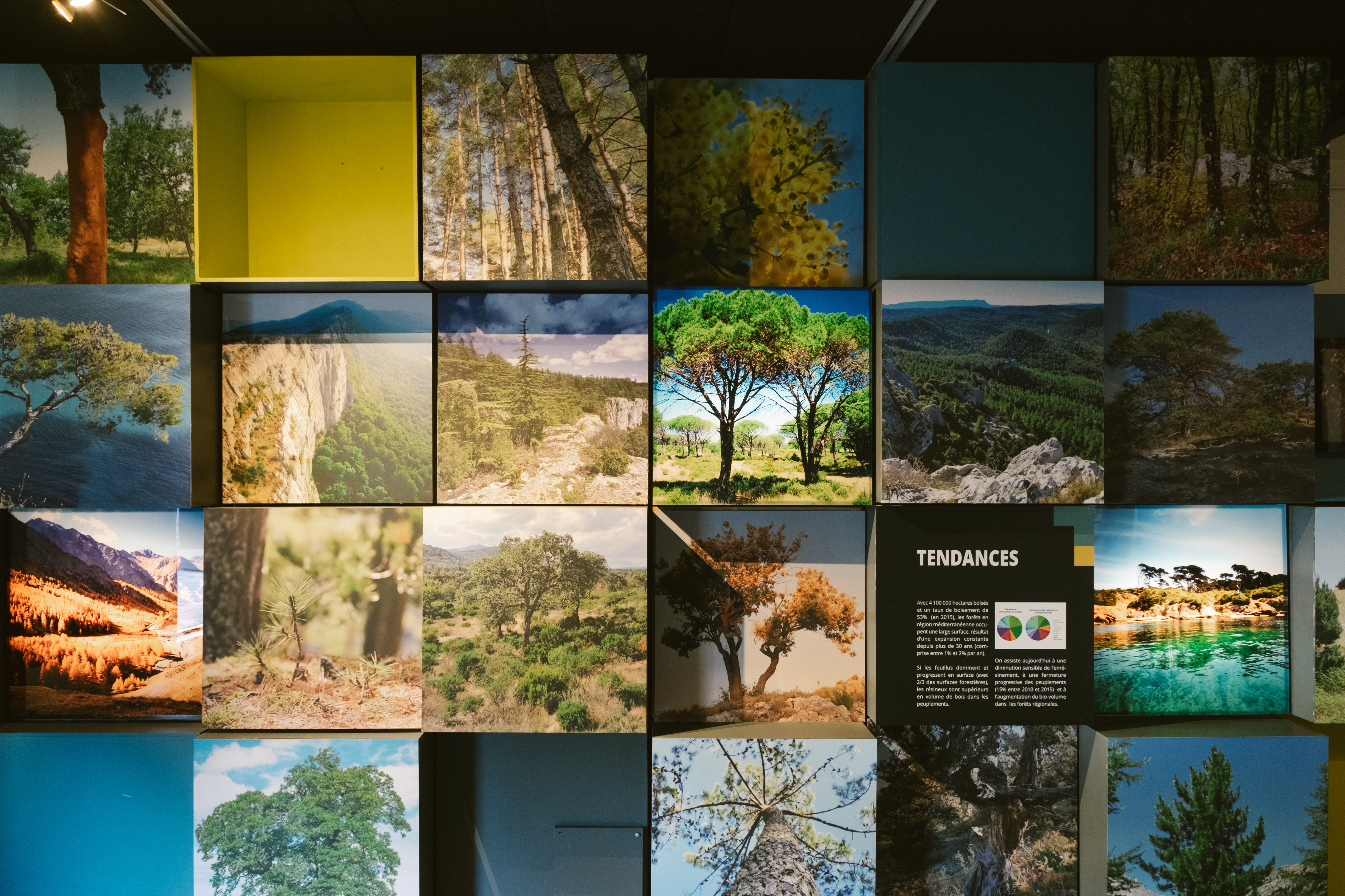 Ecomusée de la Forêt Méditerranéenne