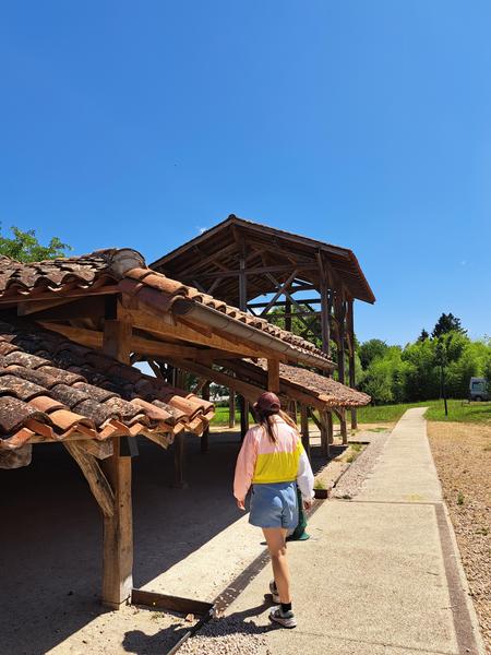 Carronnière de Mollardoury_Saint-Trivier-de-Courtes