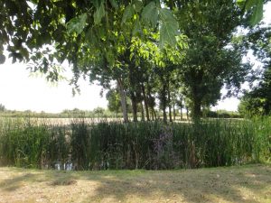 Aire de Pique-nique Le Gua