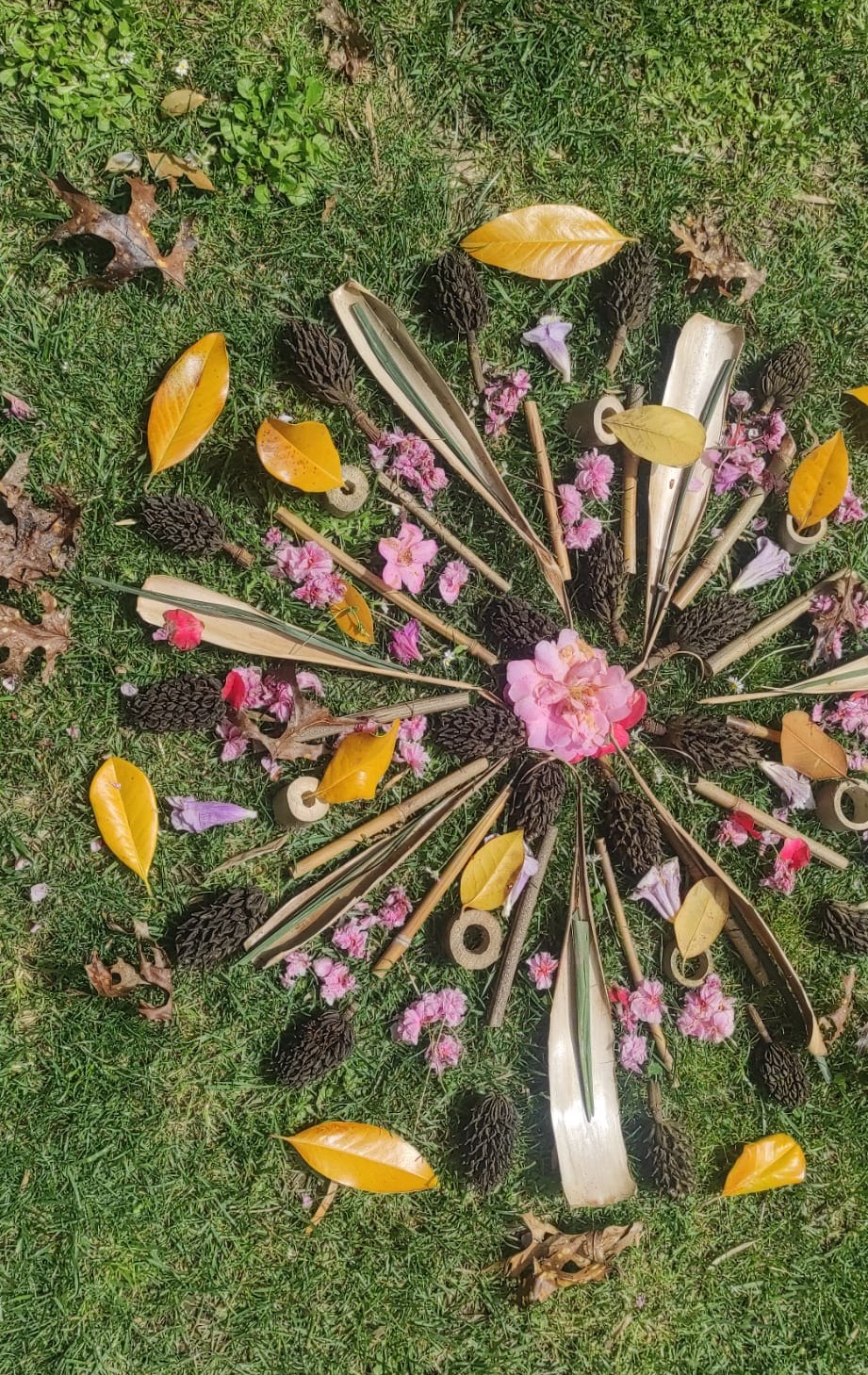 Atelier Land'Art