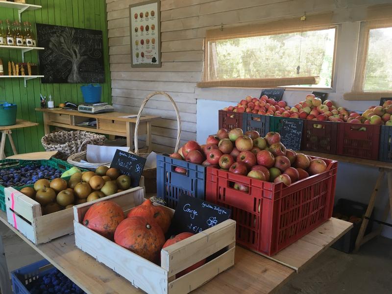 Les Vergers d'Hysope, producteur des Balcons du Dauphiné, en Nord Isère, à une heure de Lyon