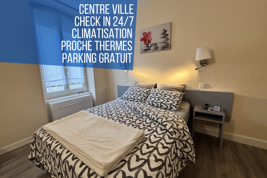 Appartement F2 Le Puy de Dôme - 202
