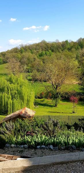 Vue de la Terrasse - Chambre d'Hôtes Les Nichoirs Pusignieu à Creys Mépieu - Balcons du Dauphiné