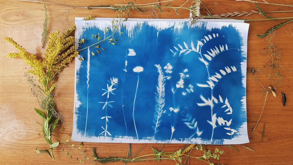 Atelier cyanotype au Domaine de Varagnes_Annonay