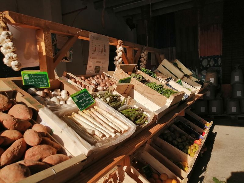 Les étals et légumes bio de la boutique Le Brin D'Ici