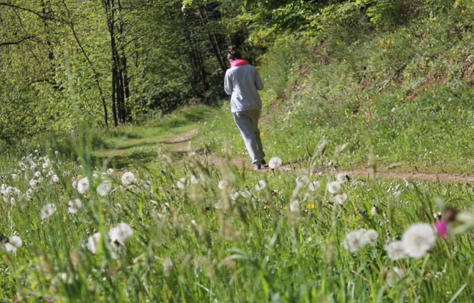 Camping Municipal La Forêt rando