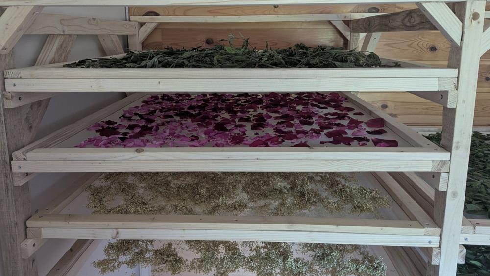 Les Mardis Plantes & Santé - Les Échappées Estivales