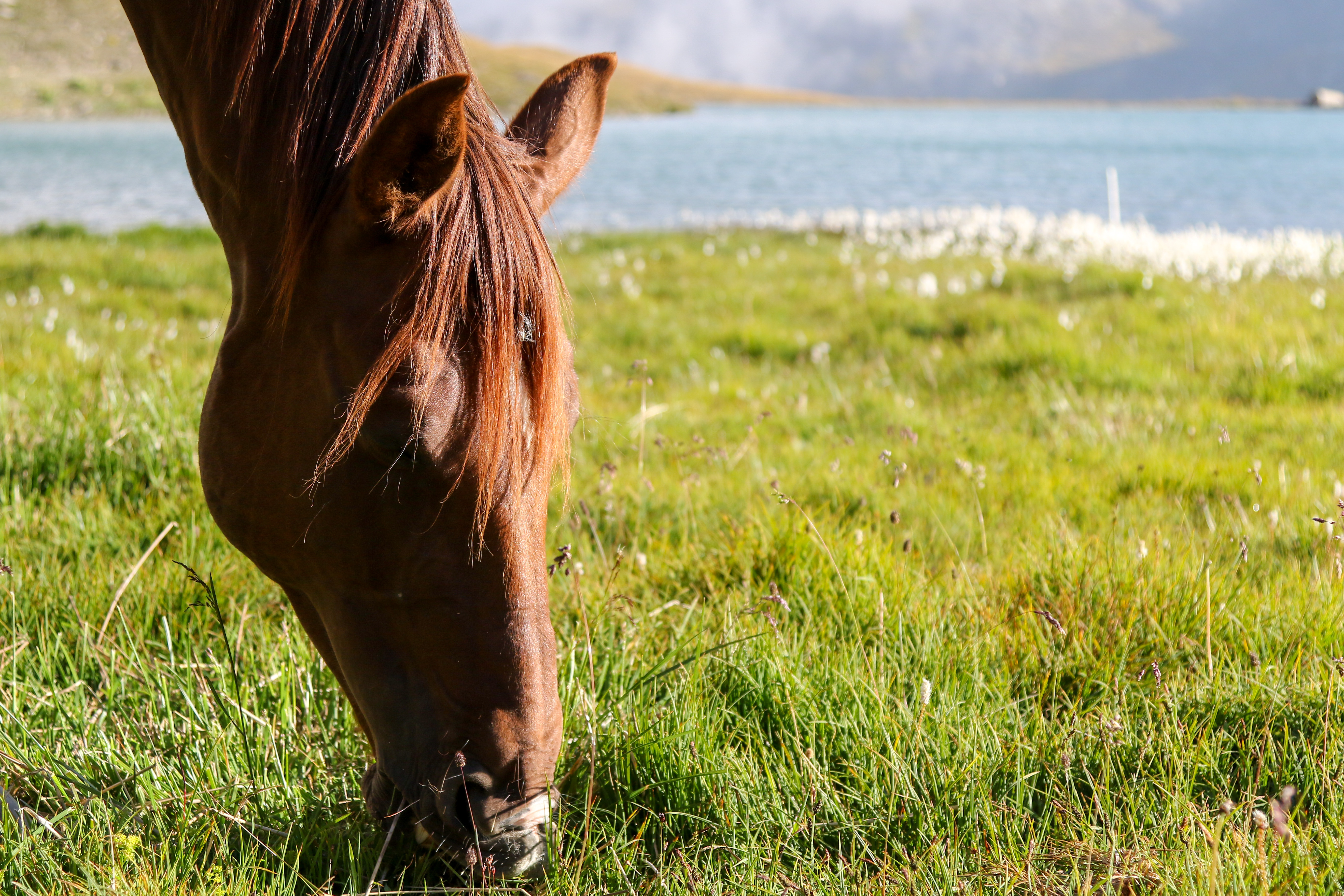 Ranch La Ramasse | Explore Savoie - French Alps