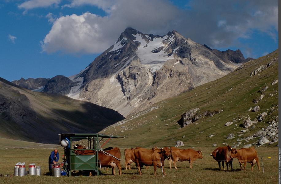 Image 1pnv000195-PN-Vanoise-Michel_Bouche-2000px