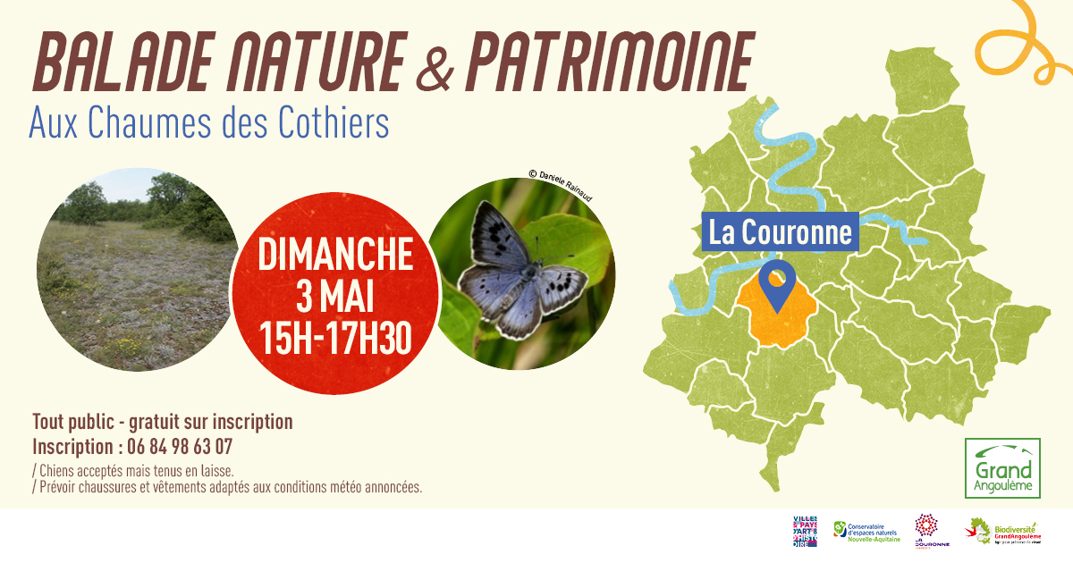 Balade nature et patrimoine : A la découverte des chaumes des Cothiers à La Couronne