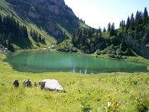 lac d'Arvouin, lac de montagne