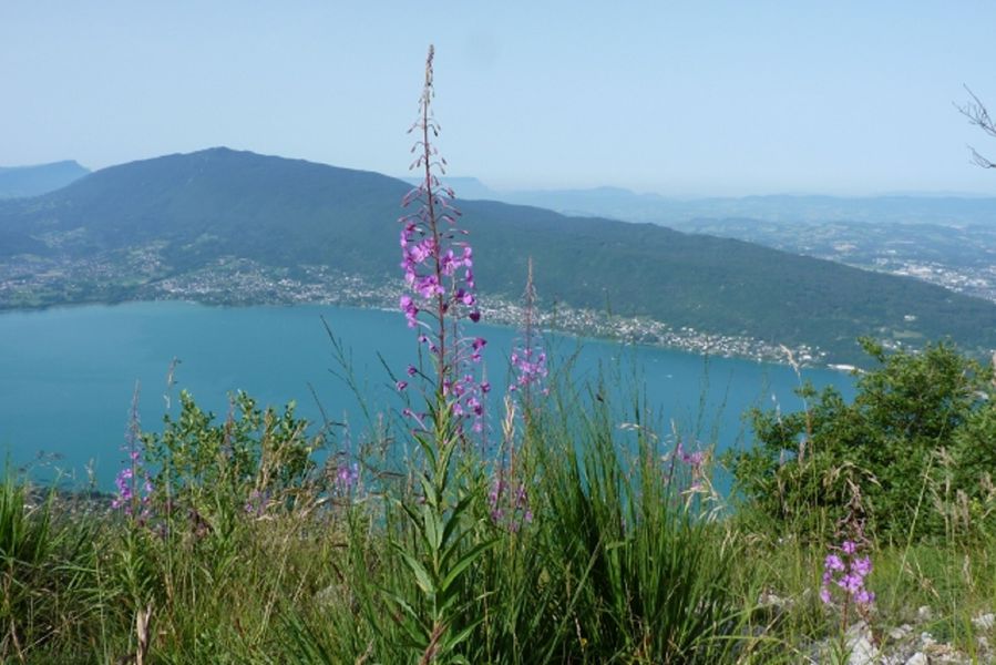 Tour du lac d'Annecy etape 06