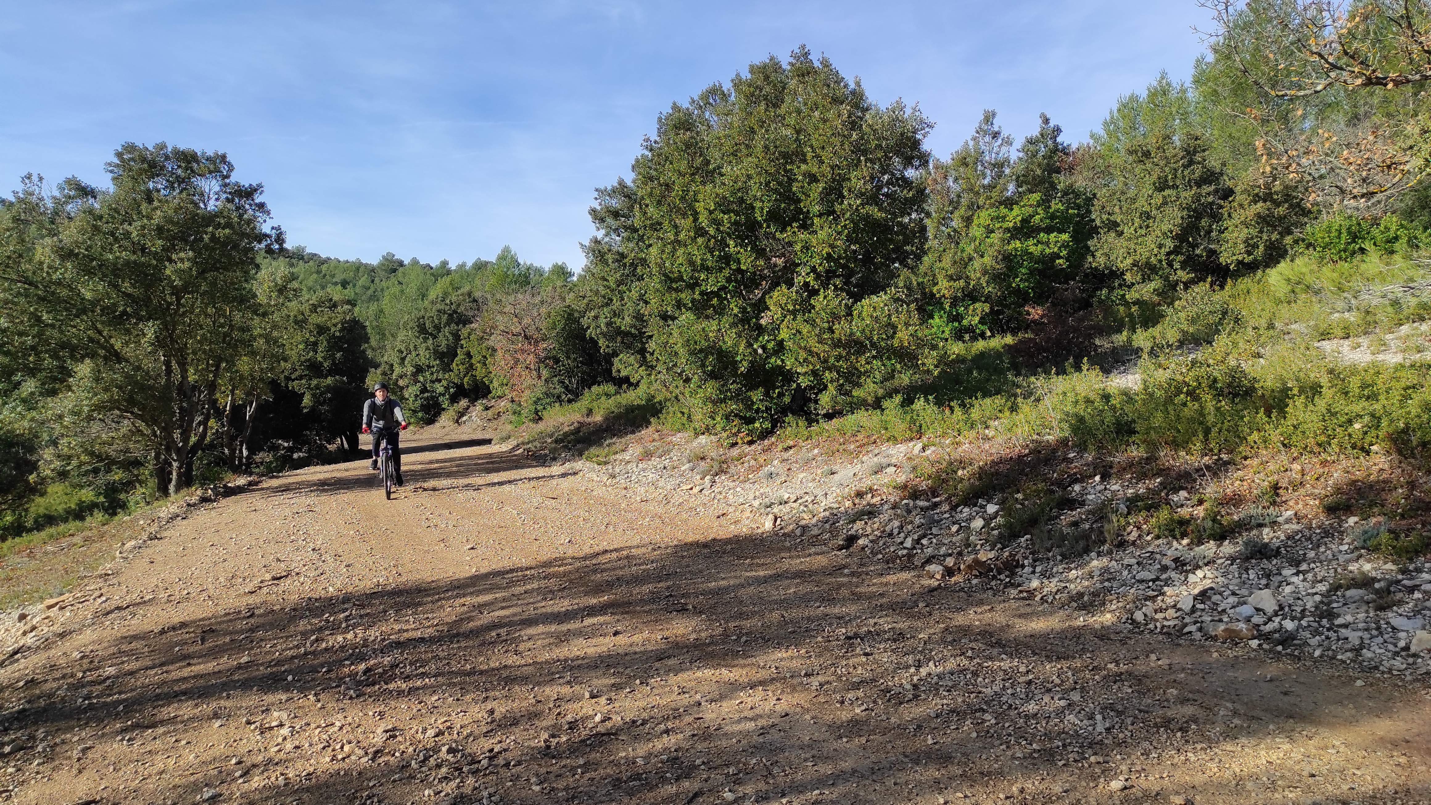 Forêt de Fontblanche, Ceyreste - photo 6