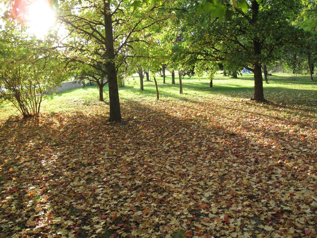 Villa Mélodie, Mollégès - photo 32