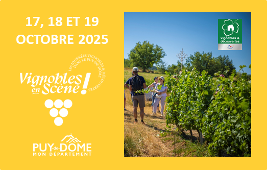 Vignobles en Scène, les Journées Vignobles & Découvertes