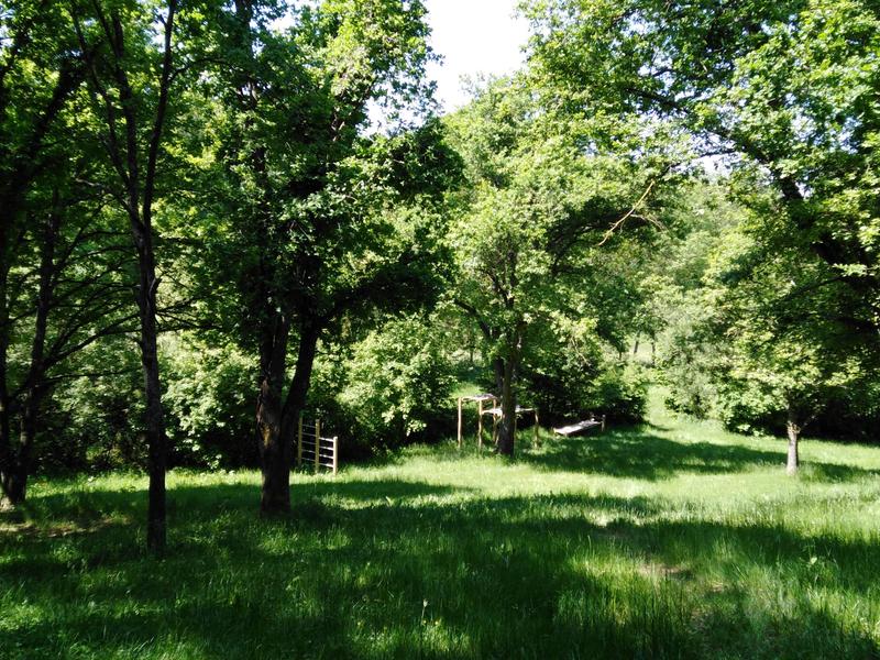 Aire de pique-nique du Petit Pont