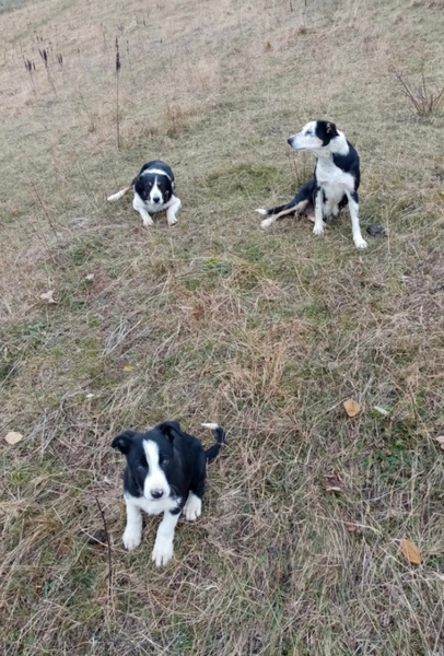 Bergerie de l'étoile