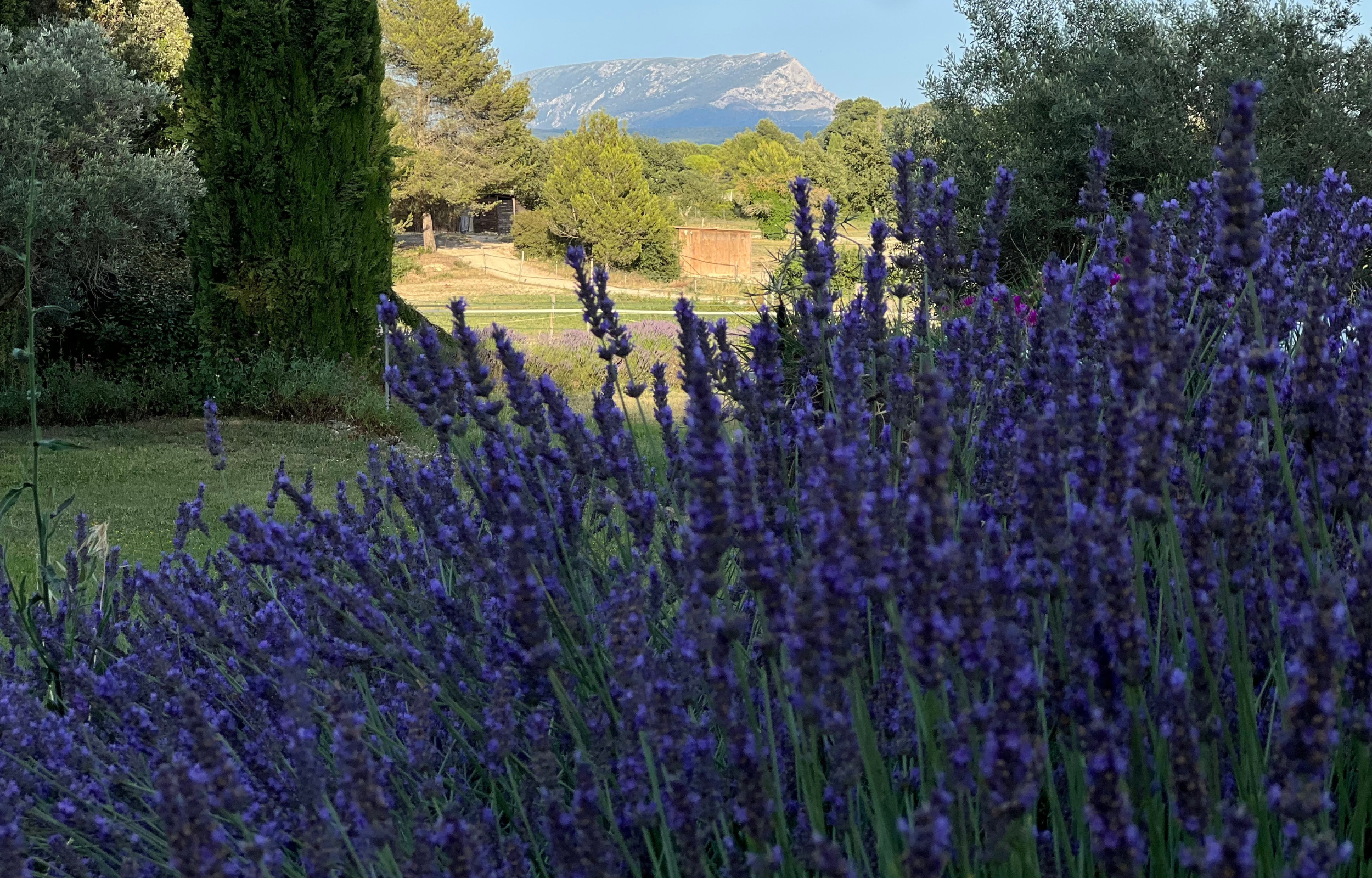À la Source, Aix-en-Provence - photo 24