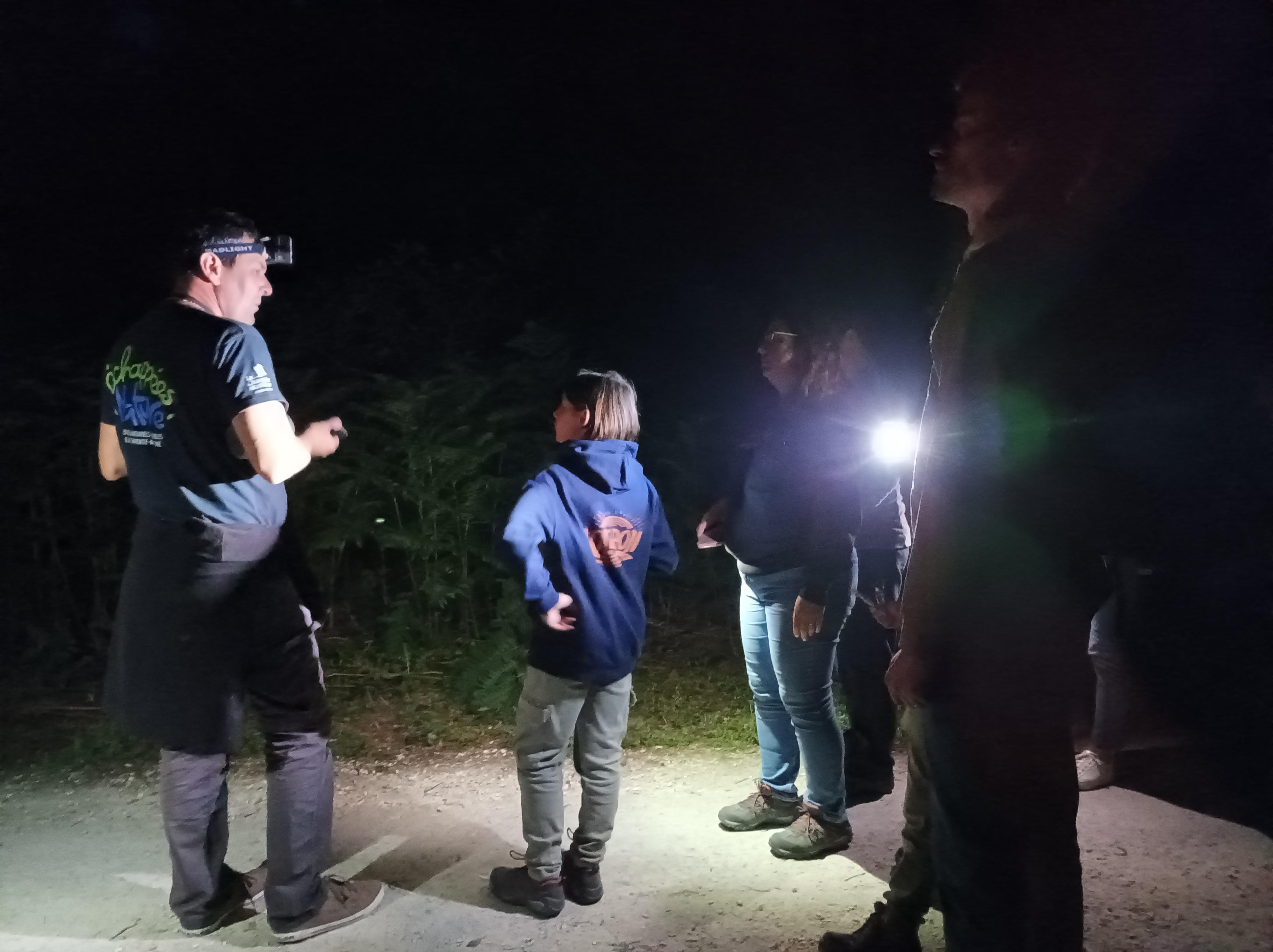 Le petit monde de la nuit