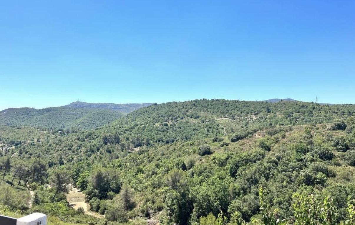 L'Eden sur la colline, Peypin - photo 13