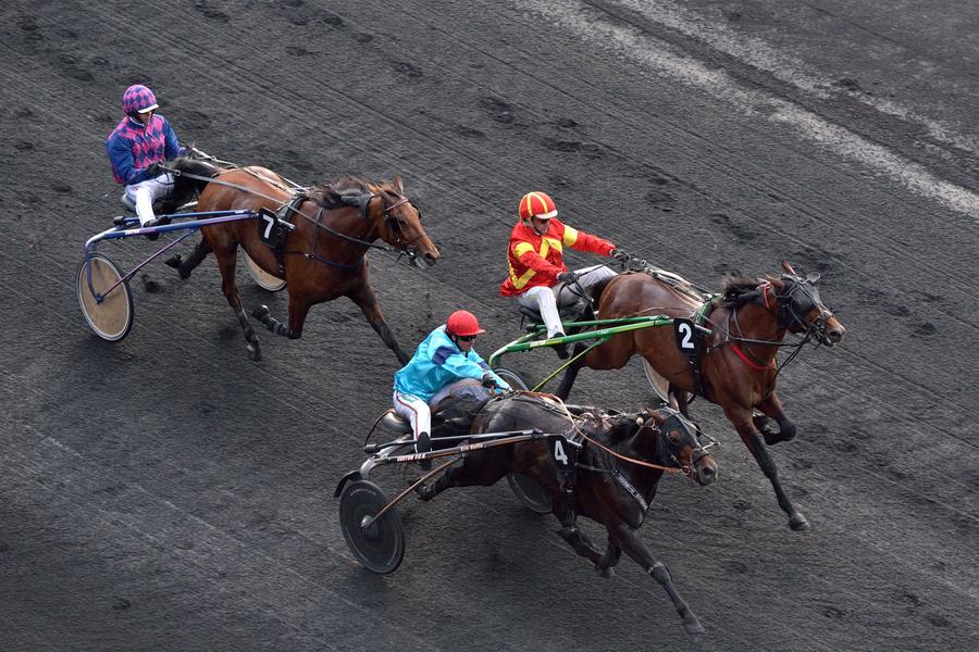 Une course à l'Hippodrome 