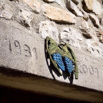 75f8217b4dfca13ffad7