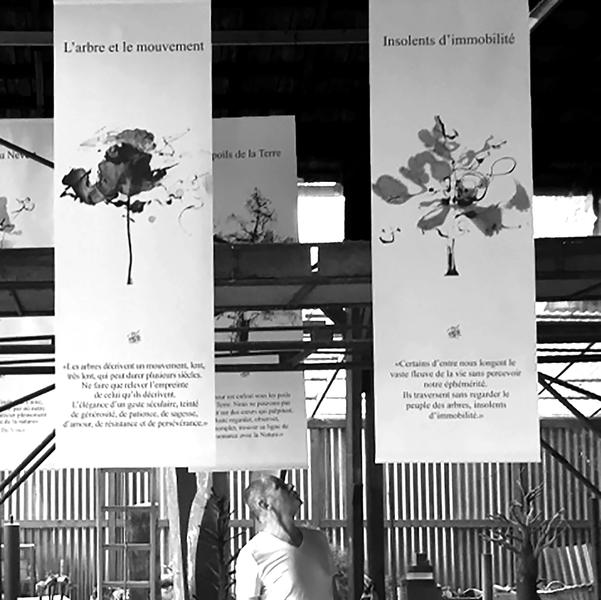 calligraphies yves dimier portraits d'arbres