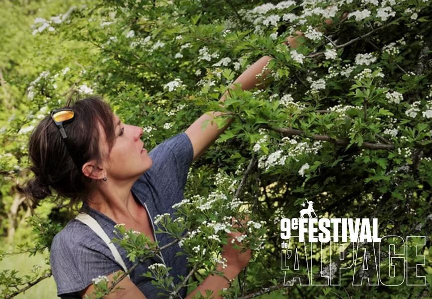 - © Hautes Herbes Festival de l'Alpage : Sortie ethnobotanique à la découverte des plantes médicinales du Valgaudemar_Saint-Maurice-en-Valgodemard - © Hautes Herbes